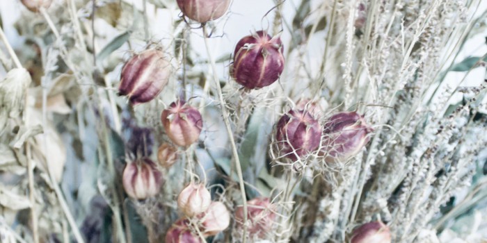 Home | Blooming Lovely Workshops Contact