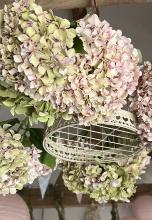 Blooming Lovely Workshops image 21